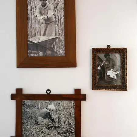 Apartamento Casa Felicita